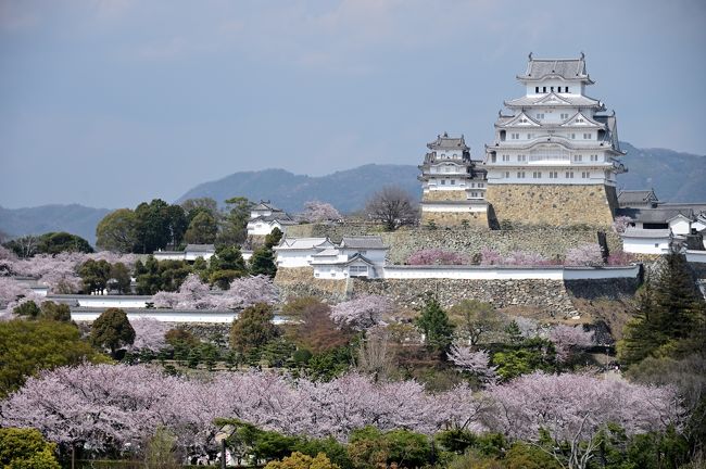 2019 さくらの名所を巡る旅《Part.6》～威風堂々とそびえる白鷺の天守・姫路城登城記② （西の丸＆城周辺編）～