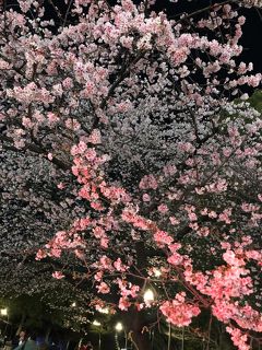 ポケモンgo 上野 上野 御徒町 東京 の旅行記 ブログ By そらさん フォートラベル