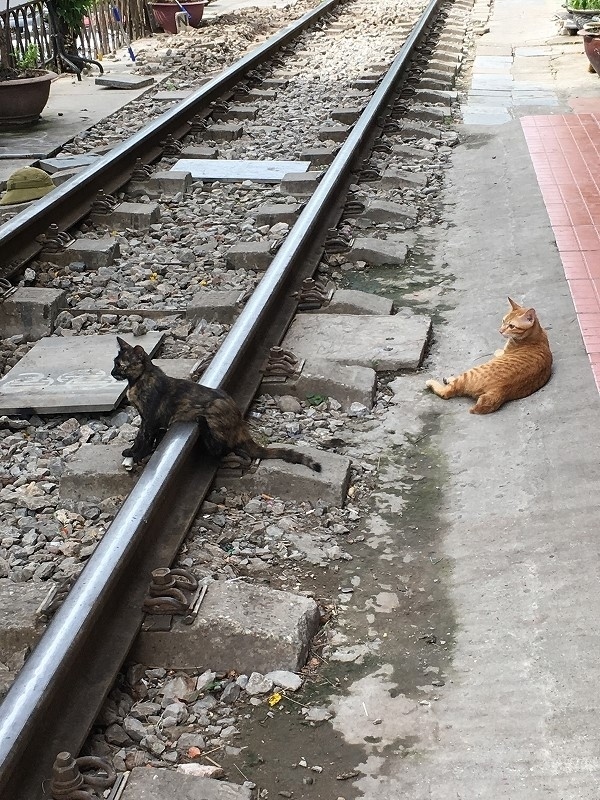 オタじゃなくとも鉄道にはまる夏ハノイ③