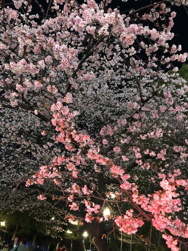 ポケモンgo 横浜みなとみらい 横浜 神奈川県 の旅行記 ブログ By そらさん フォートラベル