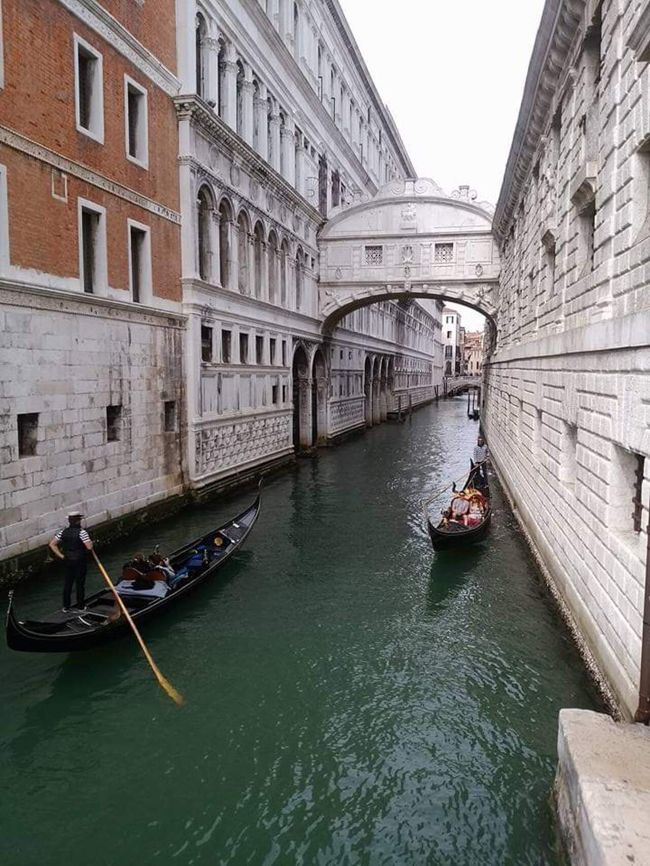 イタリア２日目は、<br />ローマから列車で日帰りベネチア観光。<br />ベネチア滞在時間5時間と短めですが、<br />ブラーノ島にも船で渡ります。