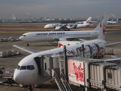 JL455便、羽田→徳島、バレンタインデーのフライト、JAL DREAM　EXPRESS90。