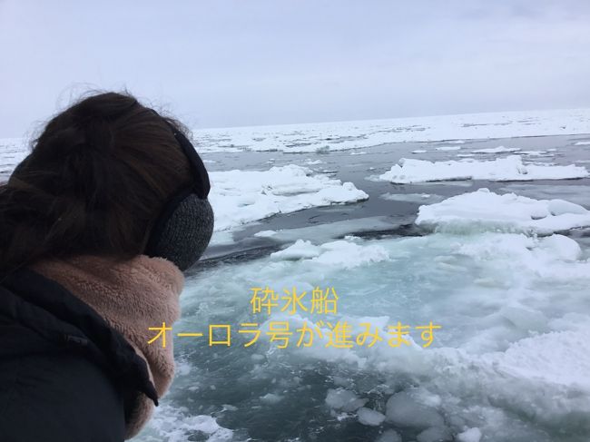 北海道に行って来ました。<br />知り合いには食べ物美味しかったでしょ！聞かれます。<br />私も北海道なので食事凄く楽しみにしてました。<br />2/16のホテルではびっくりですよ、北海道らしさがないバイキングの食事でもカニは有りましたが、身が少なくてカサカサ！美味しくないの一言でした。<br />ステーキも合成肉と書いてありましたよ！<br />ツアーなので一泊２食ついて、ホテルにはいくら位ツアー会社の支払なのでしょうね？<br />2/17の昼食は海鮮丼！！期待は裏切れらました。ご飯は硬い冷たいで具も美味しそうには見えません！<br />残す人が多い食堂でした。個人客ならリピーターがなくても良いのでしょうが、ツアー団体客がほとんどなので、ツアー会社も評判落として使ってくれなくなるのでは・・・心配します。<br />色々なツアー会社のバスが止まっています。初めてのツアーでこんな不味い物しか食べさせないのかな？参加は二度目はないかな？思いながら食べました。<br />私達のツアーは有名なクラブ何とかです。<br />流氷はたっぷりでオーロラ号の乗船では満足出来ました。<br /><br />2/17の知床のホテルは食事もお部屋もお風呂も非常に満足が出来ました。<br />このホテルならまた泊まりたい！気持ちの良いホテルでした。<br />私達は贅沢旅行に慣れた個人旅行がほとんどですが、飛行機を降りるとお迎えがいて、ついていけば良いの旅行も楽で楽しく過ごせました。<br />大型バスでも狭い足元やシート巾でしたが、ガイドさん添乗員さんが素晴らしい語りや喋り方で良かったです。<br />運転手さんは安全運転は勿論ですが、丁寧で華麗な運転で雪道を運転されていました。<br />◯走観光のガイドさん運転手さんご苦労様でした。