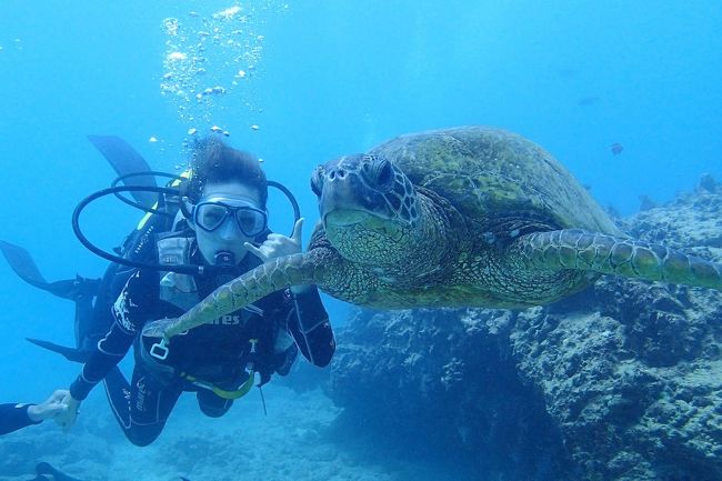 初めての子連れ海外キロク。<br /><br />1歳&amp;3歳の海外デビュー。<br />2週間でハワイ島、オアフ島に行ってきました！<br /><br />前日に熱を出した息子もすっかり元気になって一安心。<br />妹夫婦に子供達を見ててもらって、夫婦でスキューバダイビングに挑戦。<br />ダイビングは想像以上に難しかったけど、ウミガメと一緒に泳ぐために頑張ります！<br /><br /><br />9/4～9/8 ハワイ島<br />9/8～9/17 オアフ島