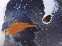 何となく小樽まで行って水族館とルタオ