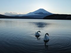 富士山が美しすぎて♪　西湖野鳥の森公園、西湖いやしの里根場＆山中湖ダイヤモンド富士♪