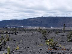 ハワイ島　フェアモントオーキッド４泊　③　OVER６０夫婦ドライブ旅　パワースポットを求めて　火山の女神ペレに会いに