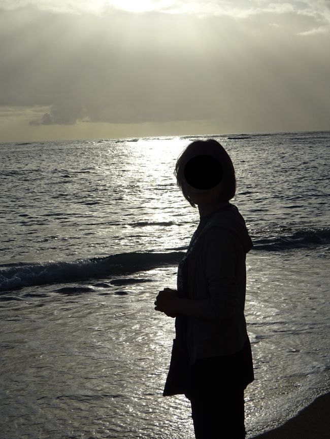 2019年のGWのミラノ旅行から戻って奥さんと次はどうするか相談すると、もうヨーロッパへの長時間の飛行機は嫌という事でハワイをチェック。<br />本当であれば、2019年は結婚30周年でハレクラニに泊まりたいと考えていたのだけれど奥さんによると2019年の場合、ハワイは方角が悪いそうである。なので夏休みや秋の連休はパスして、正月も高いので避けて、結局2月に会社が4連休になる時期に行くことに。<br />2019年7月に予約。JTBでシェラトンとハレクラニ2泊ずつのツアーが早期割引180で一人5万円引き。エアーはデルタになりました。<br /><br />2/7(金) 自宅 →関空 → ホノルル空港 → シェラトン泊<br />2/8(土) プールでのんびり → シェラトン泊<br />2/9(日) チェックアウト → ハレイワツアー → ハレクラニ泊<br />※2/10(月) イオラニ宮殿見学 → ハレクラニ泊<br />2/11(火) チェックアウト → ホノルル空港<br />2/12(水) → 関空 → 自宅<br /><br />今回は、JTBの無料オプショナルツアーでハレイワへ行く以外は<br />予定を立てずにのんびりしました。<br />新型肺炎の心配もあったけど、問題なく旅行できてよかったです。