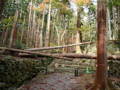 ２０１８・秋の京都（１日目）