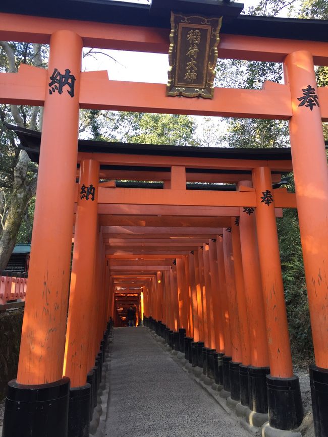 今年初の関西出張!<br /><br />先月の豊川稲荷さんに続いて伏見稲荷さんも参拝(^_^)<br /><br />今年はお稲荷さんシリーズにするかな?(^_^;)<br /><br />伏見って日本酒繋がりで、故郷伊丹に何か似てる!