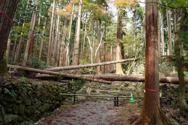 ２０１８・秋の京都（１日目）