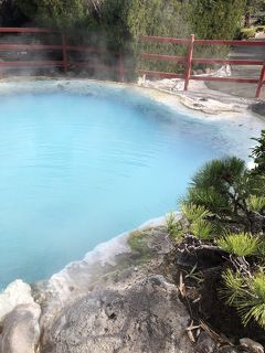 のんびり冬の別府・阿蘇旅行～1日目 地獄巡りと明礬温泉&茅葺屋根のお宿～