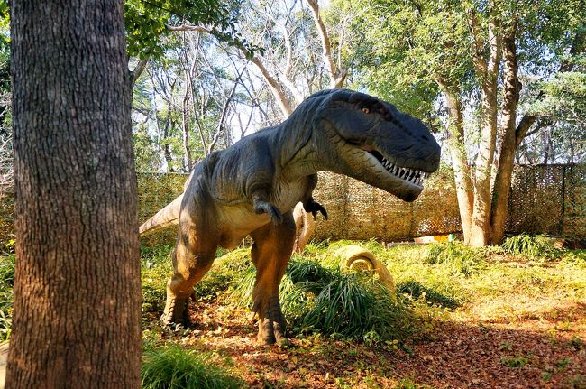 愛知に行くなら、何か息子が楽しめるところは無いかな～男の子だし、恐竜とか見れたらな～と思って検索したところ何やら期間限定で、ディノランドという所で恐竜が見れるらしい。<br /><br />ディノランドは、「安城産業文化公園デンパーク」という公園の中にあるらしく、1/1は休みですが、1/2はやっているではないですか。<br /><br />息子はそこそこ恐竜好きなので<br />期間限定なら行っておきたいなー！<br /><br />1/2は北海道に帰る日。<br /><br />帰りの飛行機は遅めの時間にしたので、<br />デンパークで遊んでから帰る事にしよう！！<br /><br /><br />あとは、夫が「本場の小倉トーストを食べにモーニングへ行きたい！」と言うので、<br />コメダ珈琲に連れてってもらいました♪<br /><br />コメダ珈琲は北海道にもあるんだけど、北海道では行かないもので( ´∀｀)<br /><br />では旅行記スタート☆