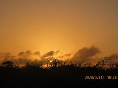 八重山四島の旅②石垣空港～みんさー織見学～夕食～ホテル