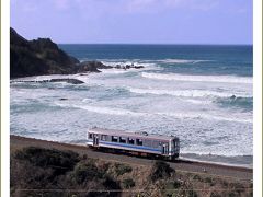 Solitary Journey［1163］初春を感じさせてくれる花と言えば、やはり梅です♪＜斜面に植樹されている三隅記念梅林＞島根県浜田市