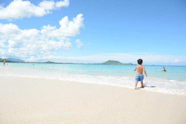 初めての子連れ海外キロク。<br /><br />1歳&amp;3歳の海外デビュー。<br />2週間でハワイ島、オアフ島に行ってきました！<br /><br /><br />カイルアを1日満喫します！<br /><br /><br />9/4～9/8 ハワイ島<br />9/8～9/17 オアフ島