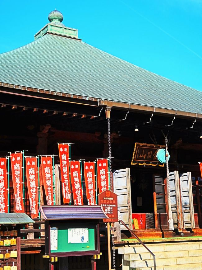 ■第七番金目山光明寺(金目観音)<br /> 神奈川県平塚市南金目896 開創年代=大宝二年(702)<br /> 大宝二年(702)のこと、貧しいが信心深い海女が、相模湾に金目川が入る小磯の浜で、汐を汲んでいた。ところが、何度汲んでも、一つの桶には汐は入らず、小さな木切れだけがあった。海女にはそれが何なのかわからなかったが、尊いものだと感じて、家に持ち帰って礼拝していた。<br /> それを見た行脚の僧が「聖徳太子作の聖観音だ」と告げたので、さらに篤く信仰したという。海女が没した後、里人たちが道儀上人に願い、海女の家を道場として尊像を安置した。この海女は現在、光明寺の鎮守として祀られ、潮司大権現と号している。<br /> 天平年間(729~749)になって、行基菩薩がこの尊像を拝し、新たに五尺あまりの立像を作って、海女が感得した像をその胎内に籠めたと伝えられる。以来、「腹籠りの観音」と呼ばれ、北条政子は実朝出産の折に安産祈願しており、現在も安産に利益があるとされている。<br /> 金目川に面して仁王門があり、境内には本堂のほか阿弥陀堂などが建つだけの、こじんまりとした寺である。本堂は明応七年(1498)十月二十七日の棟札が残っており、平塚市内最古の建築物となる。本尊を安置する禅宗様の厨子も同じ時代のもので、国指定の重要文化財である。<br /> 本尊聖観音は像高168センチで、平安時代末期の作。前立本尊は68センチの小像だが、本堂と同じ明応七年の銘がある。ともに平塚市の文化財に指定されている。また、正平七年(1352)清原国吉作の梵鐘は神奈川県指定文化財であり、その他に源頼朝や足利尊氏に関する古文書などの寺宝がある。<br />http://www.nichibun.ac.jp/graphicversion/dbase/reikenki/bando/reijo07.html より引用<br /><br />光明寺 については・・<br />http://www.7key.jp/data/fudasyo/bandou33/b07_koumyouzi.html<br />http://tencoo.fc2web.com/jinja/xhr-komyo.htm<br /><br />坂東三十三観音霊場 については・・<br />http://www.bandou.gr.jp/<br /><br />坂東三十三箇所とは、神奈川県・埼玉県・東京都・群馬県・栃木県・茨城県・千葉県にかけてある33か所の観音霊場のこと。 <br />源頼朝によって発願され、源実朝が西国の霊場を模範として札所を制定したと伝えられている。第一番札所の杉本寺から第三十三番札所である那古寺までを巡拝すると、その道程は約1,300キロメートルにもなる。 <br />第1回 坂東三十三観音霊場 日帰り<br />松戸(7:00)====西船橋(7:40)====1:杉本寺(鎌倉)【拝観料込】====6:長谷寺(厚木) 【高速道路】====7:光明寺(平塚)====5:勝福寺(小田原)==小田原・鈴廣==西船橋 <br /> ※バス走行距離:約315km