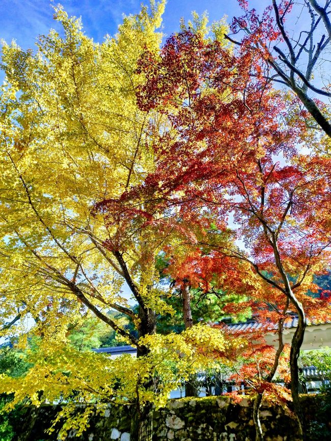 ２０１８・秋の京都（最終日）