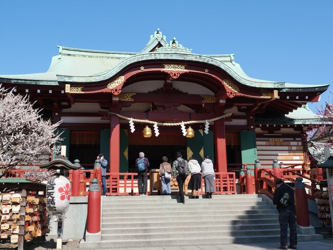 都内の梅の名所「亀戸天神」の梅が見ごろなったと聞き行ってみた。また、スポーツ振興の神として話題になっている「亀戸香取神社」に立ち寄った。そして、梅園で有名な「小村井香取神社の香梅園」にも行ってみた。<br /><br />※亀戸天神梅まつり<br />日程:2020年2月8日(土)~3月8日(日)<br />交通アクセス・最寄り駅<br />・JR総武線「亀戸駅」徒歩15分<br />・JR総武線「錦糸町駅」徒歩15分<br /><br />※小村井香取神社梅まつり<br />日程:2020年2月15日(土)~3月1日(日)<br />交通アクセス・最寄り駅<br />・東武亀戸線小村井駅から徒歩で5分<br />