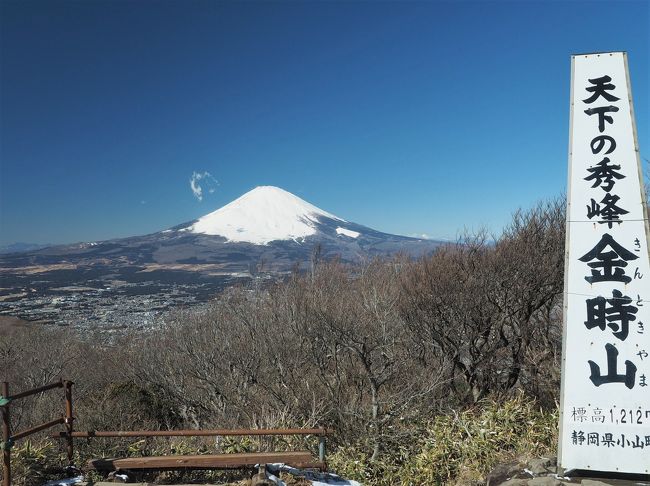 1月は予定が入っている週末に限って晴れるという事が続き、今年の初登山になります。冬の空気が澄んだ時期に富士山を見たいという事で選んだのが、金時山。箱根火山の外輪山の最高峰で、富士山の眺望が抜群と人気の山です。登山コースはいくつかありますが、初めてなので公時神社を参拝してから登ろうという事になりました。<br /><br />今回のコース　　金時神社入口バス停 ～ 公時神社 ～ 金時宿り石 ～ 公時神社分岐 ～ 金時山山頂 ～ 公時神社分岐 ～ 矢倉沢峠 ～ 金時登山口バス停<br /><br />新宿からは小田急高速バス。始発に乗車し、10分ほど遅れ8時50分に金時神社バス停に到着。公時神社を参拝し出発。前半は凍っている所もいくつかあり、慎重に登ります。途中からアイゼンを装着し、約2時間で山頂へ。そこからは雲一つない富士山の絶景が待っていました。<br />