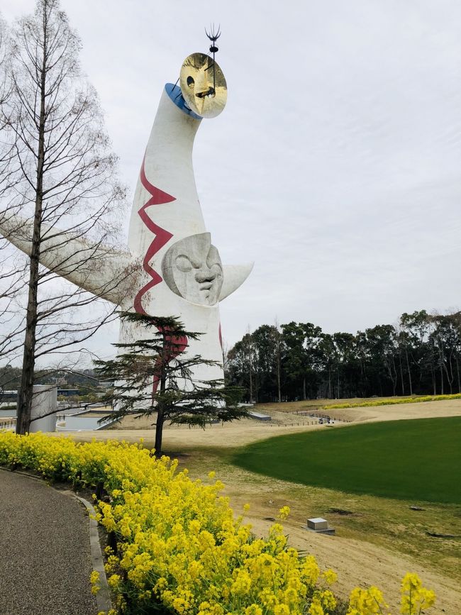 年に一度は、神戸に住む伯父伯母を訪ねますが、<br />今年は伯母が88歳、米寿なのでお祝いにやってきました。<br />関西に住む友達とご飯食べておしゃべりもでき、<br />楽しい4日間でした。<br /><br />往復飛行機ということもあって、<br />伊丹空港に近い万博記念公園へ。<br />50年ぶりに観た太陽の塔は、こんなんだったかなぁ？<br />私、たしか3回ほど万博を観に来てるんだけどなぁ。<br />記憶の糸を手繰り寄せましたが、すっごい混んでた！並んだ！すいてるとこしか入らなかった！しか出て来ませんでしたwww