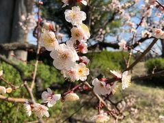 ひとり和歌山城と　娘と大阪の高級ホテルに泊まる旅