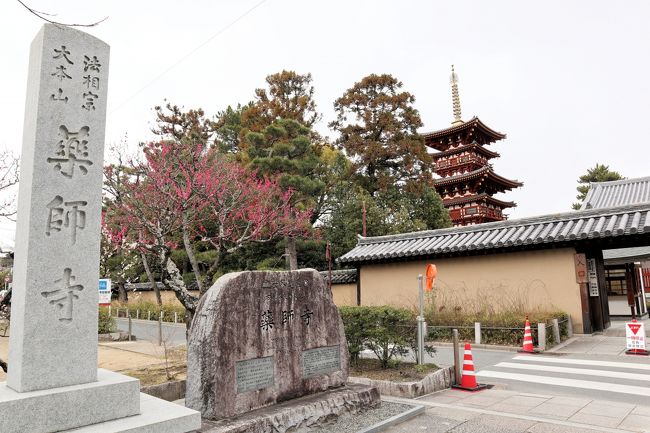 奈良ホテルが創業110周年ということで、その特別プランでお安く泊まれる!<br />奈良は最近行ってなかったし、行きたかったんだよな~ということで奈良旅行が決定したのが12月上旬。<br /><br />さて、今回のプランですが、<br />1日目:興福寺・東大寺を観光<br /> 奈良ホテル宿泊<br />2日目:奈良ホテルの館内ガイドに参加<br /> 唐招提寺・薬師寺を観光<br /><br />1月に入り、新型コロナウイルスの影響があり、中国人眼光客が激減。<br />日本人でも、旅行を自粛する方がいるなか、2月中旬はまだそれほど感染が拡大していなかったので、行ってきました。<br /><br />テレビでは、頻繁に昨年の奈良公園と今年の奈良公園を比較していますが、<br />実際に行ってみると、全く閑散とした雰囲気はなく、混みすぎずにちょうどいい感じでした。<br /><br />小学校の修学旅行で行った時とは全く違った視点で奈良を観光してきました。<br /><br />奈良ホテルはとてもよく、また行きたいです。