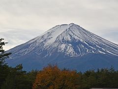 世界遺産「富士山」の構成資産巡りツアーー秋の部ー