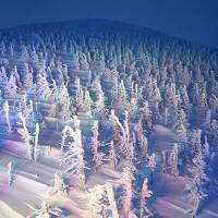 団塊夫婦の日本スキー&絶景の旅(2020ハイライト)ー幻想的な樹氷ライトアップ・蔵王温泉スキー場