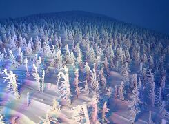 団塊夫婦の日本スキー&絶景の旅(2020ハイライト)ー幻想的な樹氷ライトアップ・蔵王温泉スキー場