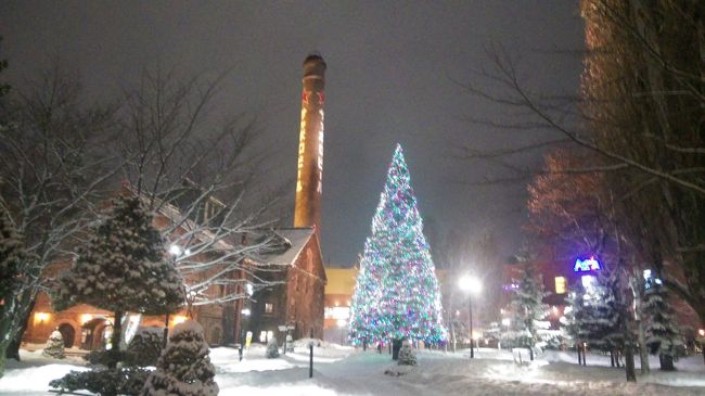 雪まつり前の月曜日にさっぽろ出張となったので、土曜日から札幌に入きました。<br />昨年に引き続き、雪像づくり、スキー、ジンギスカンなんかをして楽しみました。<br />大まかな日程はこんな感じです。<br /><br />2月1日（土）JAL国内線ファーストクラスにて、札幌へ→札幌市内散策→雪像つくりの手伝い<br />2月2日（日）札幌国際スキー場にてスキー　→　定山渓温泉でカレー<br />2月3日（月）朝は雪まつり会場をぶらぶら→仕事→夜は札幌ビール園にてジンギスカン<br />2月4日（火）エアバス350クラスJにて、東京へ戻る。<br /><br />最後は、ジンギスカン、JALエアバス350について、書きたいと思います。