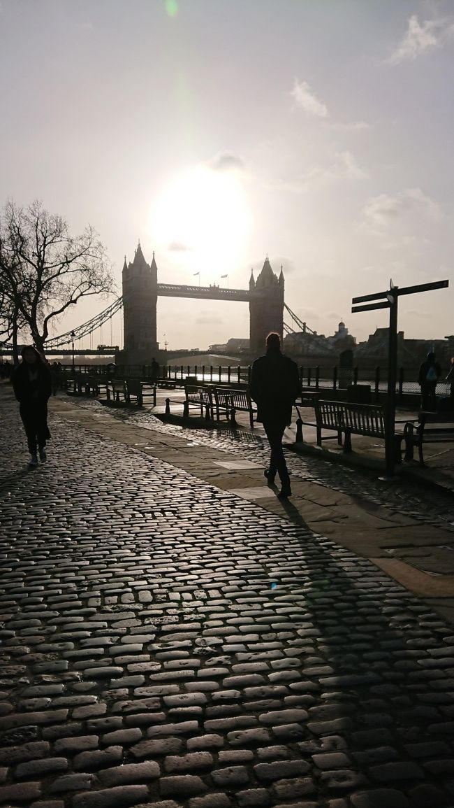2020年の最初の海外旅行は2月の連休を利用して25年ぶりのロンドン!!<br />2月でしたが、ロンドンはそれほど寒くもなく、快適に過ごせました。ただ、新型コロナウイルスの影響かどこも人出は少なめでしたね。<br />羽田の深夜便で出発、帰りは羽田早朝着の便で帰国とかなりの強行スケジュール。かなり大変でしたが、昨今の新型コロナウイルスの状況をみると行けるときに行っておいてよかった!<br />実質3日だけの滞在でしたが、十分に楽しめました!!<br /><br /><br />First trip in 2020 is London trip.<br />It was not so cold in London.<br /><br />On the 1st day,<br />I ate english breakfast at famous restaurant.<br />This breakfast tastes bad. but breakfast tea tastes so good.<br /><br />On the 2nd day,<br />I watched Mary Poppins musical at Prince Edward Theatre.<br />English in musical was easy to understand.<br />This musical is very fun.I recommend this musical. <br /><br />On the 3rd day,<br />I ran along River Thames from Langham Place to Tower Bridge.<br />Distance is about 10km.It was just right distance to tun.<br />