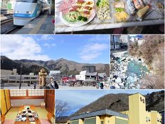 鬼怒川温泉の旅 １ (2020.02.19～20）