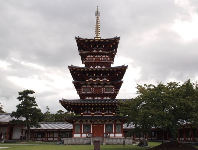 奈良の旅、法隆寺参拝してランチの後は、車で移動して　法輪寺、法起寺を参拝して、薬師寺に向かいます。<br /><br />45年前の修学旅行時と一番変わっているのは薬師寺です。<br />当時は焼け残った東塔だけが観光ポイントで、金堂は再建中、食堂も古いものがあったようですが覚えていません。<br />ガランとした場所で塔を眺めて法話を聞いた記憶しかありません。<br /><br />現在は金堂、西塔、中門と回廊等、立派なお寺の伽藍が揃って、見ごたえのあるお寺になりました。<br /><br />塔二つ揃った薬師寺が見れると期待したのですが、東塔は解体修理中でした。