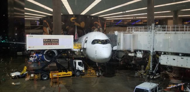 今回はデルタ航空のスカイマイルが貯まったので、どこへ行こうか検討した結果、寒い日本を抜け出して暖かいところへ行きたいな~と思い、130000マイルを使用して南半球のオーストラリアへ行くことにしました。発券をした後に帰りの予約した便が運航しなくなったりで二転三転することになり、その後に旅程は確定したのですが、今度はオーストラリアで森林火災が大事になり、コロナウィルスも話題となり、これはどうなるのかと心配しましたが、何とか出発できました。<br />1月25日に中部国際空港から台北の桃園国際空港経由でシドニー国際空港までチャイナエアラインで向かいました。チャイナエアラインは初めての利用となりました。シドニーで1泊し、翌日ウルル(エアーズロック)へ移動し、その後メルボルンへ、帰りはデンパサール国際空港(バリ島)、ジャカルタスカルノハッタ国際空港を経由して中部国際空港へ戻ってきました。