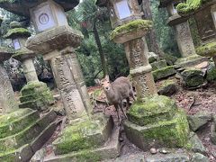 奈良・京都　女子一人旅！①