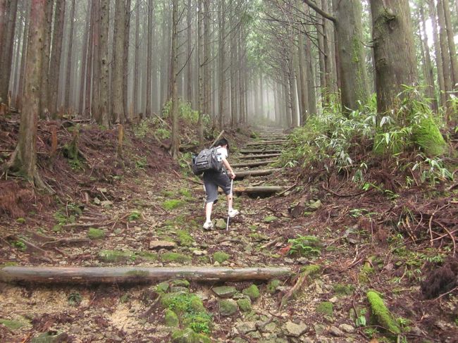 2012年夏に熊野古道の上級コース小雲大雲取越にチャレンジした旅行記です。<br />当時14歳の息子をお供に、請川～那智大社まで約２７．５ｋｍの山道を2日かけて何とか踏破しました。<br /><br />１日め<br />６:００東京（のぞみ）→８：０８名古屋（南紀）→<br />新宮（熊野交通バス）※雨で２０分遅れ予定のバスに乗れず→下地橋１３：１５着<br />熊野古道　小雲取越（約１３ｋｍ）<br />１８：４５小口自然の家着　５：３０かかる<br /><br />２日め<br />８：２０小口自然の家発<br />熊野古道　大雲取越（約１４．５ｋｍ）<br />１７：２０頃　青岸渡寺着　約９時間<br />バスで那智勝浦へ、ホテル浦島着<br /><br />３日め<br />１２：２５那智勝浦発の南紀で帰路へ<br />