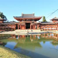 京都・神社仏閣めぐりと琵琶湖、なばなの里イルミネーション