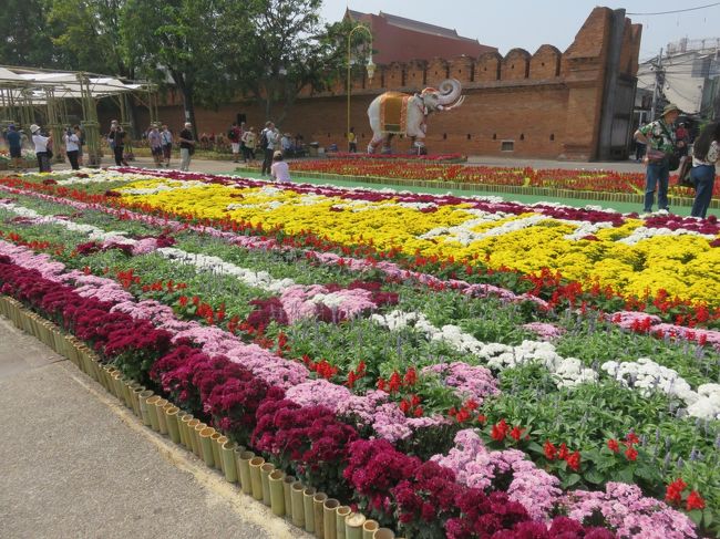 ﾁｪﾝﾏｲ三大祭りの一つ、花祭りをﾈｯﾄ情報を参考に漏らすことなく見物します。<br /><br />気候も最高で訪問中は乾季の恩恵を十分に受け、満足度は超が付くほどです。<br /><br />令和2年2月5日　　羽田JALｶｳﾝﾀｰ前に集合<br /><br />　　　　  6日　　JL0033便　  00：05 羽田空港発<br /><br />　　　　　　　　　　　　　　 05：05 ﾊﾞﾝｺｸ・ｽﾜﾝﾅｰﾌﾟ空港着<br />　　　　　　　　 <br />                       JL5991便　　06：45 ﾊﾞﾝｺｸ・ｽﾜﾝﾅｰﾌﾟ空港発<br /><br />　　　　　　　　　　　　　　 08：05 ﾁｪﾝﾏｲ空港着<br /><br />　　　　 10日    JL5976便　　06：50 ﾁｪﾝﾏｲ空港発<br /><br />　　　　　　                        08：15 ﾊﾞﾝｺｸ・ｽﾜﾝﾅｰﾌﾟ空港着<br /><br />               　     JL0032便      09：55 ﾊﾞﾝｺｸ・ｽﾜﾝﾅｰﾌﾟ空港発<br /><br />                                          17：30 羽田空港着<br /><br />　　　　　　　　　使用ﾎﾃﾙ　　People Place Hotel 2 ・・Booking.com<br />                                          にて手配 