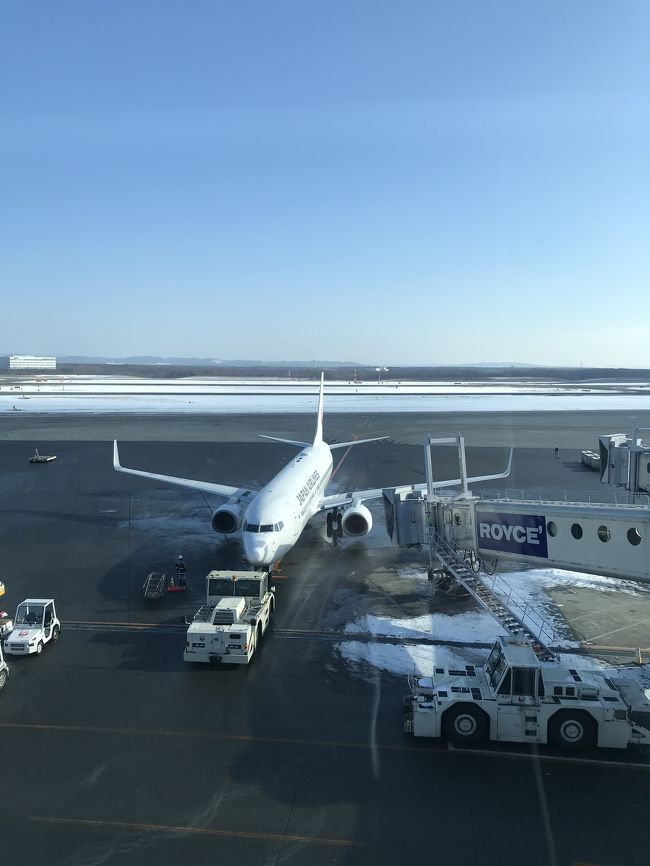 一月中旬、オフシーズンの札幌に航空券とホテルのついたプランで行ってきました。