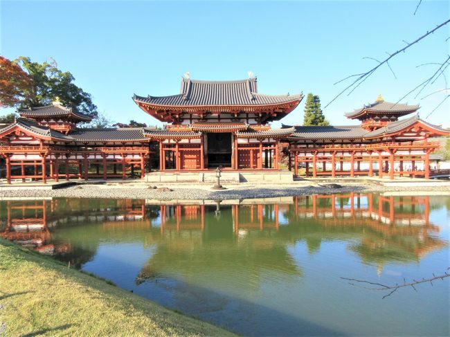 京都の神社仏閣を巡りながらグルメを堪能して、最終日には琵琶湖大橋を横断して三重県のなばなの里のイルミネーションを楽しむ３日間