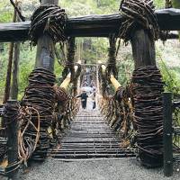 かずら橋と温泉でのんびり！徳島県３泊４日の旅（２）