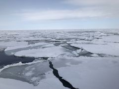 オホーツクの流氷を砕氷船と観光列車から眺めてきました。