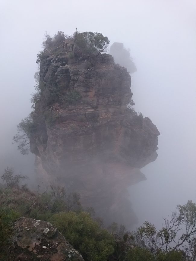 シドニー＆ゴールドコースト３泊５日のツアーに参加してきました。<br />この旅行記はオーストラリア２日目、世界遺産ブルーマウンテン国立公園半日観光へ行った時のものです。<br />日本で見た天気予報は雨でした。<br />霧が立ちこめています。スリーシスターズは見れたのでしょうか？