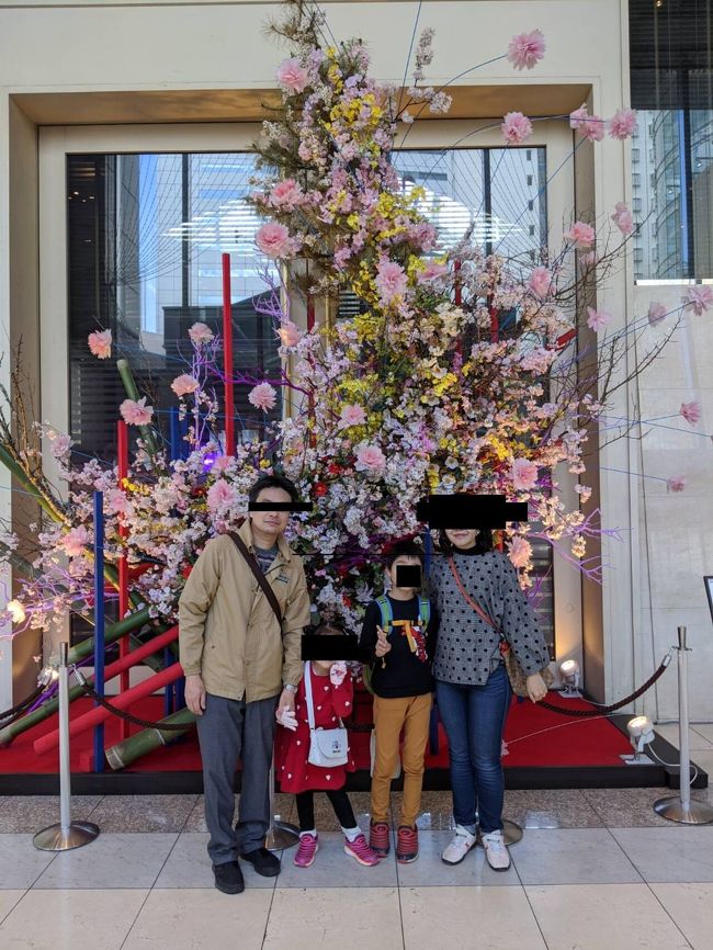 家族三人の誕生日が魚座に固まっています。お祝いにハプナに!
