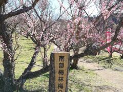 2020年2月 南部梅林＆湯浅醤油　日帰りバスツアー