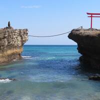 2020年春・河津桜観光　～下田街めぐり～