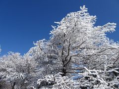 甲信の山旅♪富士見台高原・南沢山＆滝子山・笹子雁ヶ腹摺山