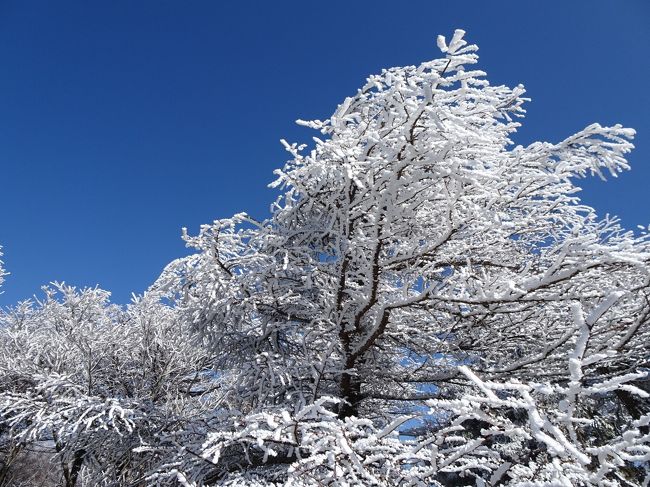 2月の3連休は、土曜日は全国的に天気が悪く、日曜は南関東周辺のみ晴れそう、月曜は概ね天気が良さそうだったので、日曜日は山梨の富士山展望の滝子山と笹子雁ヶ腹摺山、月曜日は長野県南部（恵那山の近く）の展望の良さそうな富士見台高原と南沢山に登ってきました。<br /><br />＜旅程＞<br />【1日目(2/22土)】<br />　名古屋駅15:00→甲府駅19:03（高速バス）<br />【2日目(2/23日)】<br />　甲府7:21→初狩8:10（JR中央本線）<br />　初狩駅8:12-8:33滝子山登山口-滝子山10:15-11:45お坊山11:48-12:11米沢山12:19-12:55笹子雁ヶ腹摺山13:04-13:44登山口13:46-14:15笹子駅（徒歩）<br />　笹子14:58→甲府15:42（JR中央本線）<br />　甲府16:00→中央道昼神温泉18:39（高速バス）<br />【3日目(2/24月)】<br />　昼神温泉6:07-7:47神坂神社7:49-9:18萬岳荘-9:37神坂小屋9:52-9:59富士見台高原10:03-10:55横川山10:59-11:16南沢山-12:08登山口12:12-13:36保神バス停（徒歩）<br />　保神13:45→南木曽駅14:18（南木曽町バス・保神線）<br />　南木曽14:42→15:14中津川15:20→（JR中央本線）