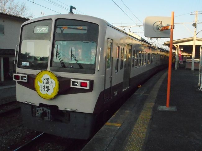 三峯神社に行った後は西武秩父駅に戻り、秩父鉄道線に一駅だけ乗って往復しました。